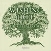 Wishing-Tree-3-CD