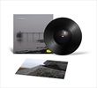 Without-Sinking-42-Vinyl