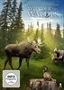 Wunder-des-Waldes-170-DVD-D