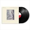 YOU-MUST-BELIEVE-IN-SPRING-LTD-2LP-7-Vinyl
