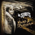 YOUNG-DANGEROUS-VINYL-2748-Vinyl