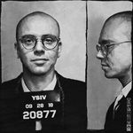 YSIV-233-CD
