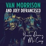 Youre-Driving-Me-Crazy-3161-Vinyl