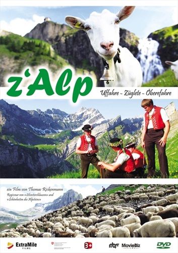 Jetzt bestellen!