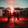 Zorn-Liebe-203-Vinyl