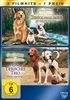 Zurueck-nach-Hause-Ein-tierisches-Trio-DVD-D