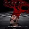 uNomkhubulwane-Ltd-Edt-8-Vinyl