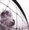 vs-Vinyl-Edition-Remastered-13825-Vinyl