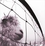 vs-Vinyl-Edition-Remastered-13825-Vinyl