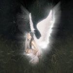 young-forever-34-CD